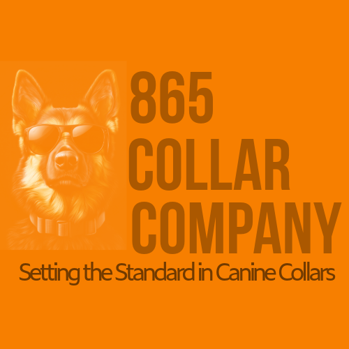 865 Collar Company