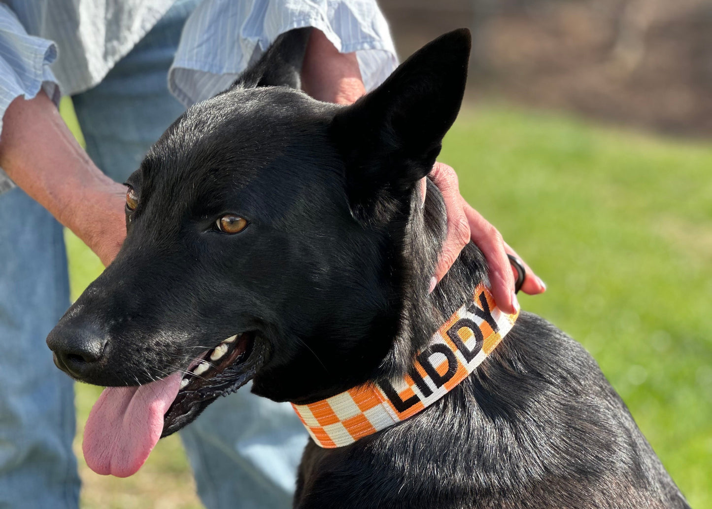 1.5-Inch Standard Volunteer Collar