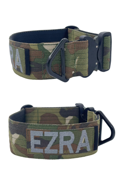 2-Inch Elite Pursuit Tactical Collar